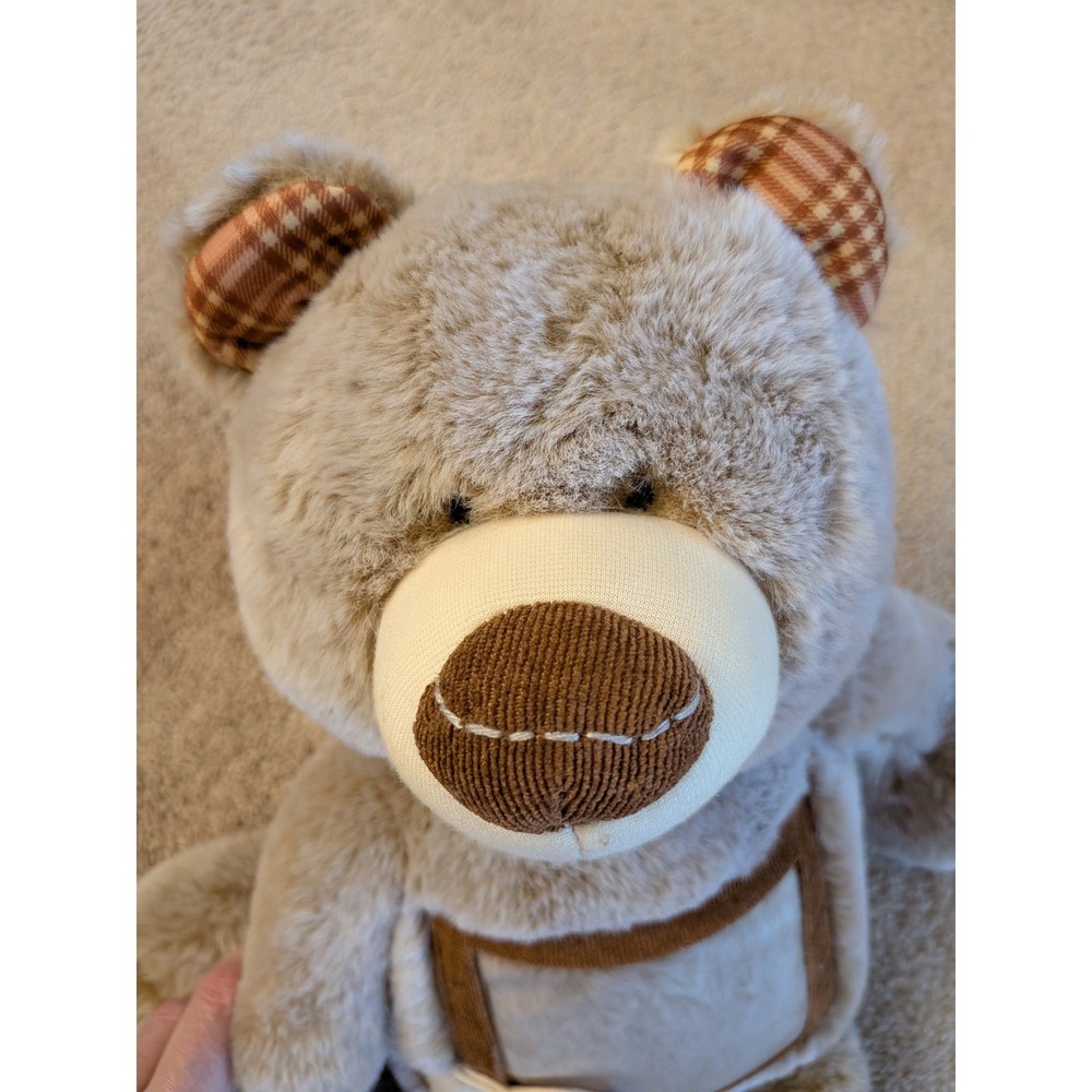 Demdaco‎ Giving Bear Plush Taupe Brown Plaid Ears Here To Hug Photo Pocket